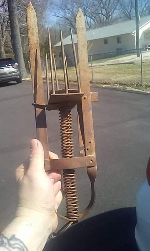 received_449107583040939.jpeg