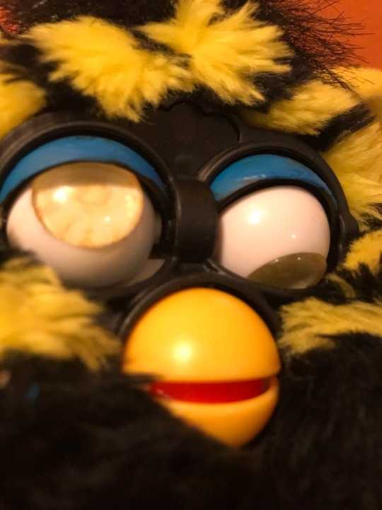 broken furby.jpg