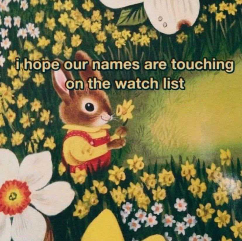 watch bunny.jpg