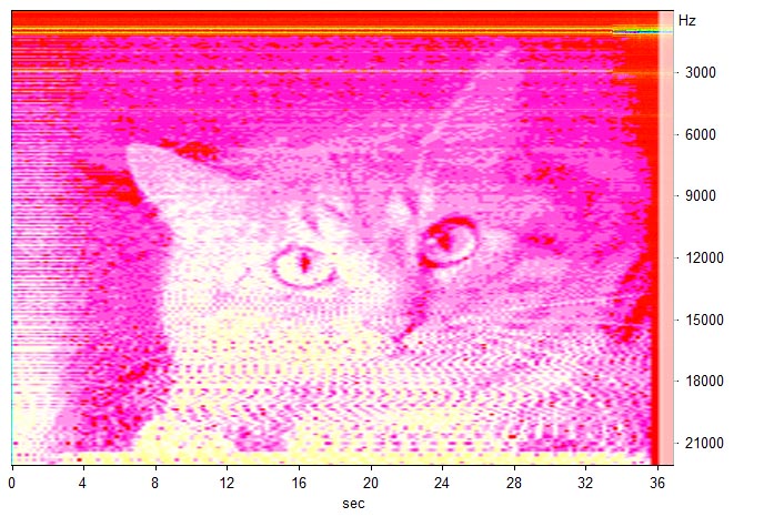File:Spectracat.jpg