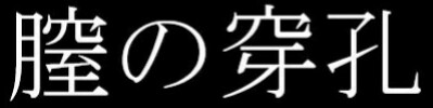 File:膣の穿孔 logo.jpg