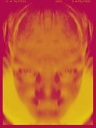 Marco Vanoppen 3.jpg