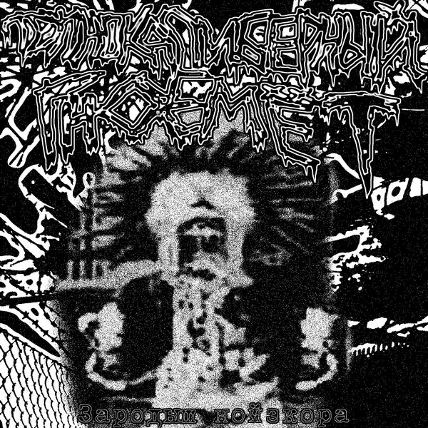 File:Зародыш нойзкора.jpg