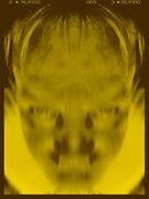 Marco Vanoppen 4.jpg