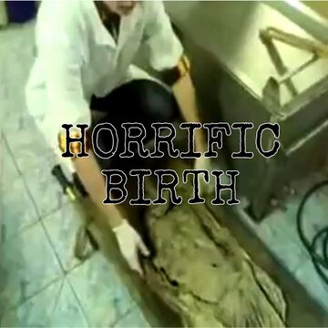 Horrificbirth.jpeg