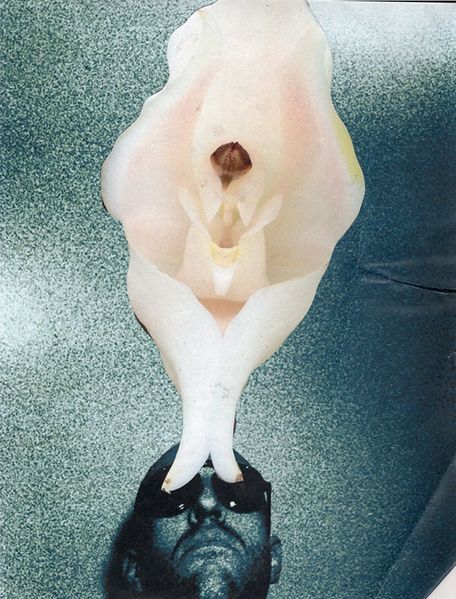 File:Nw006 cover.jpg