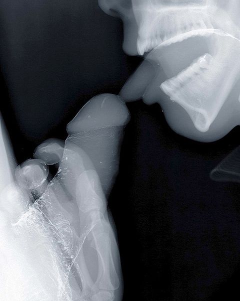 File:Xray blowjob 2.jpg